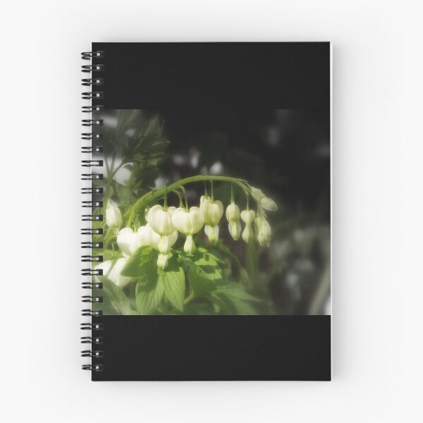 Item preview, white bleeding hearts #2 designed and sold by Dawna Morton.