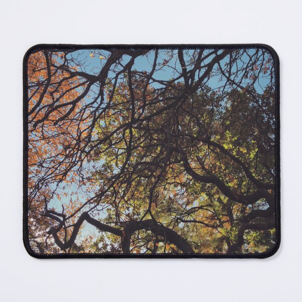 Item preview, Autumn trees designed and sold by Asrais.