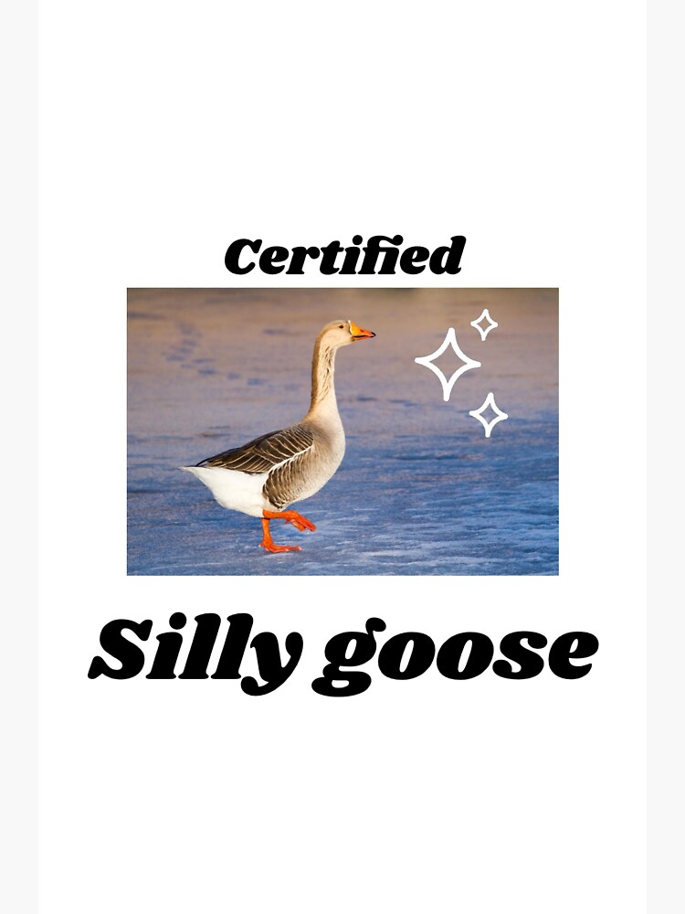 "Certified Silly Goose" Sticker For Sale By Sophiavaneri0 | Redbubble