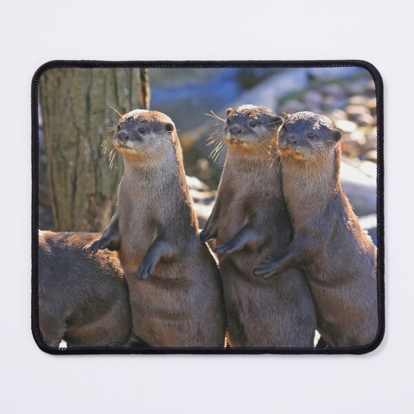 Item preview, A Bevy of Otters designed and sold by RedHillDigital.