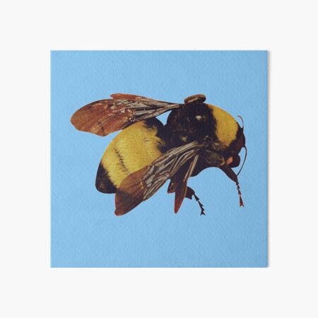 TYLER THE CREATOR - FLOWER BOY Art Board Print