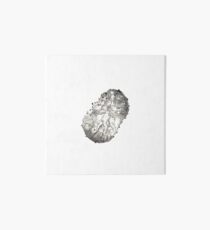 Pitaya/ Pitahaya Art Board Print