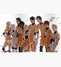 Palmetto State Foxes Poster