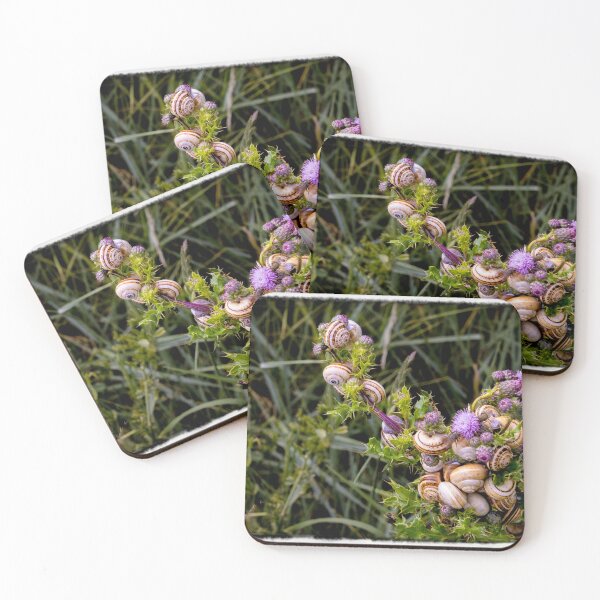 Item preview, Normandy Thistle Snails designed and sold by nbrandsberg.