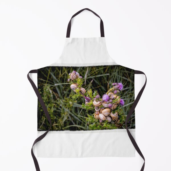 Item preview, Normandy Thistle Snails designed and sold by nbrandsberg.