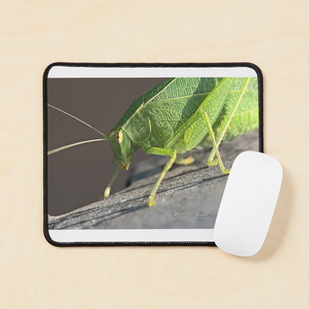 Item preview, Mouse Pad designed and sold by starfire2010.