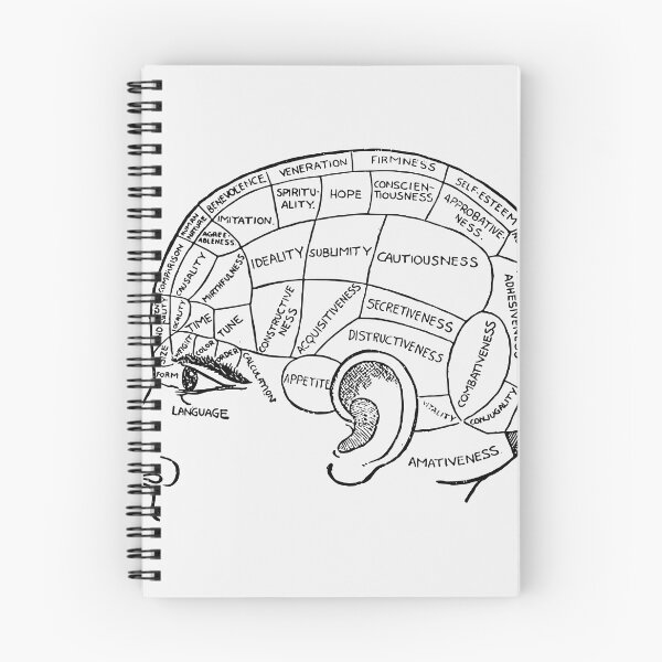 Item preview, Phrenology- Vintage  designed and sold by SuziQPrayers427.