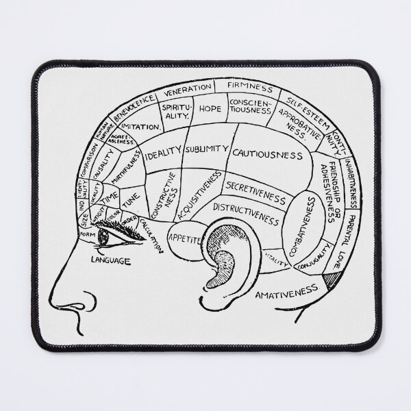 Item preview, Phrenology- Vintage  designed and sold by SuziQPrayers427.