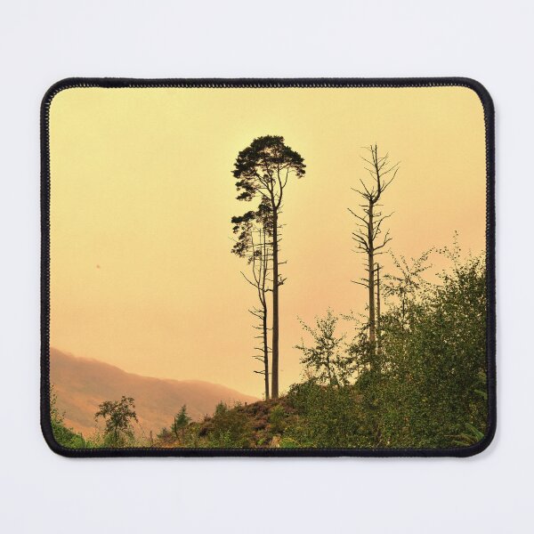 Item preview, Tall Pine designed and sold by fr3spirit7.