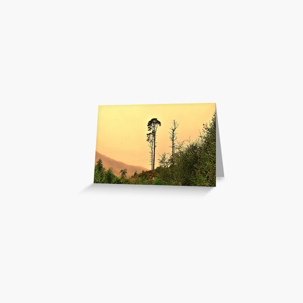 Item preview, Tall Pine designed and sold by fr3spirit7.