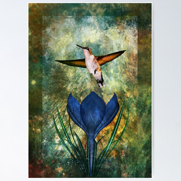 Hummingbird and Crocus Poster