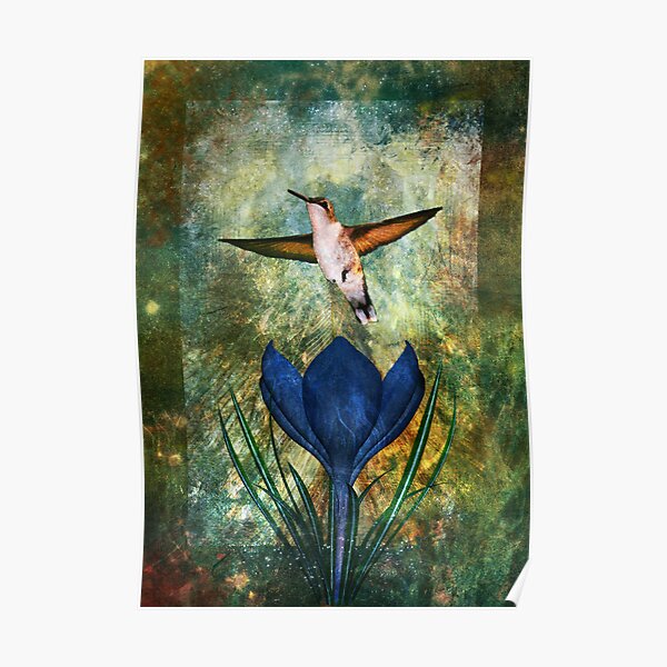 Hummingbird and Crocus Poster