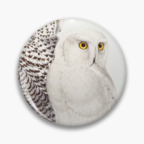 Item preview, Vintage owls designed and sold by SuziQPrayers427.