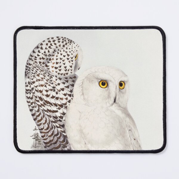 Item preview, Vintage owls designed and sold by SuziQPrayers427.