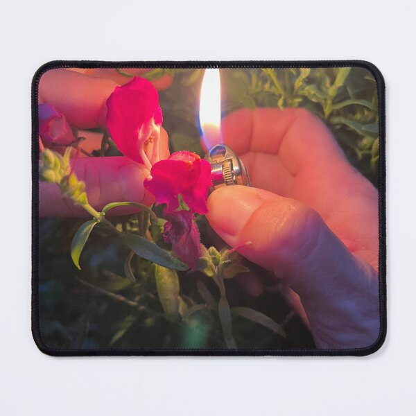 Item preview, Snapdragon lit designed and sold by TherapeuticNest.