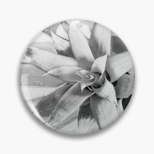 Item preview, High Key Bromeliad designed and sold by Kay Brewer.
