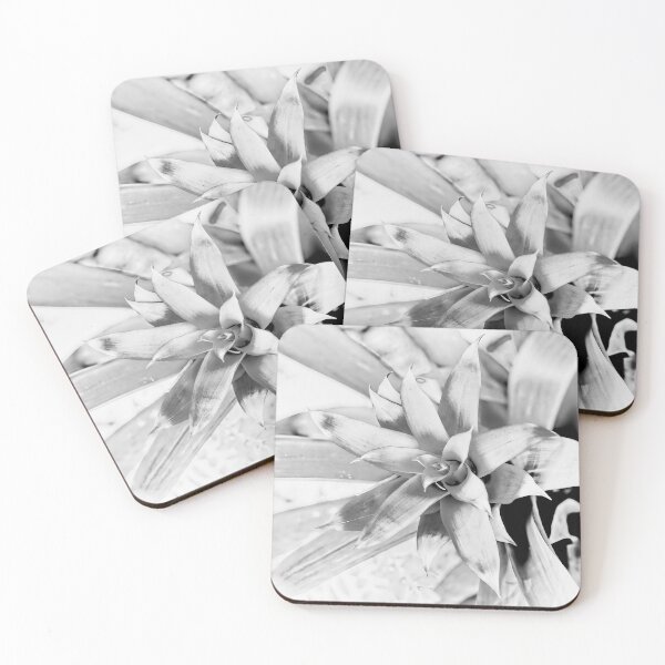 Item preview, High Key Bromeliad designed and sold by Kay Brewer.