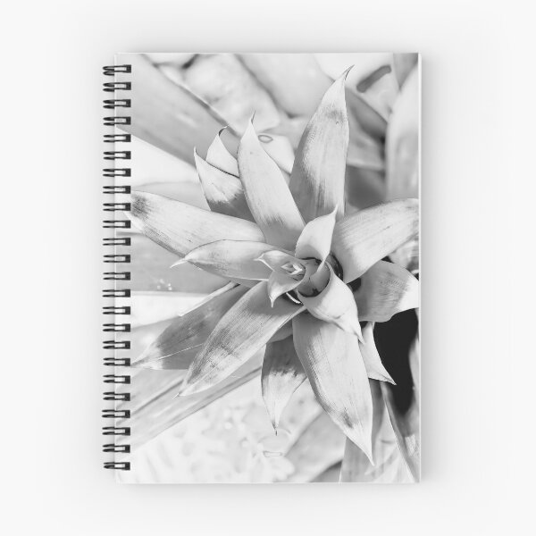 Item preview, High Key Bromeliad designed and sold by Kay Brewer.
