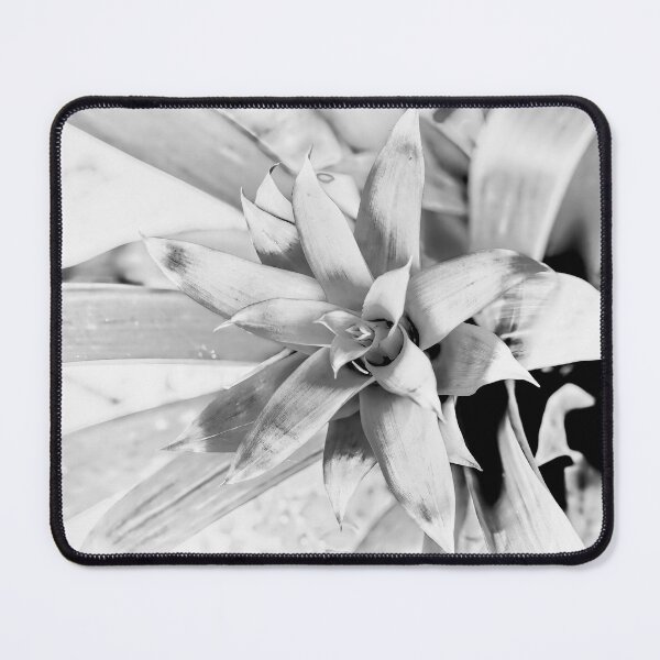 Item preview, High Key Bromeliad designed and sold by Kay Brewer.