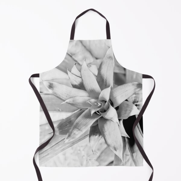 Item preview, High Key Bromeliad designed and sold by Kay Brewer.