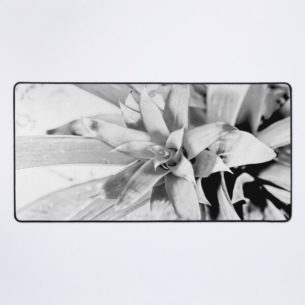 Item preview, High Key Bromeliad designed and sold by Kay Brewer.