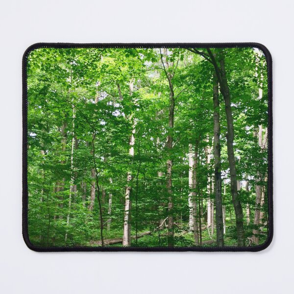 Item preview, Sleeping Bear Forest designed and sold by mamamur.