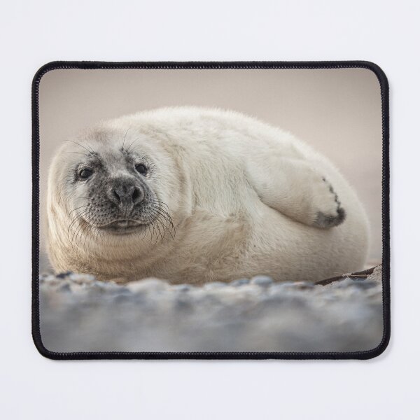 Item preview, Baby Seal on Helgoland designed and sold by The Bored Giraffe.