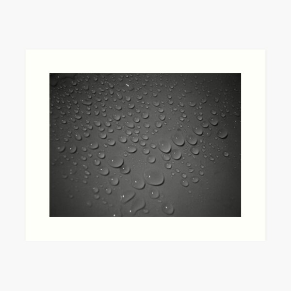 In Dew Time Art Print
