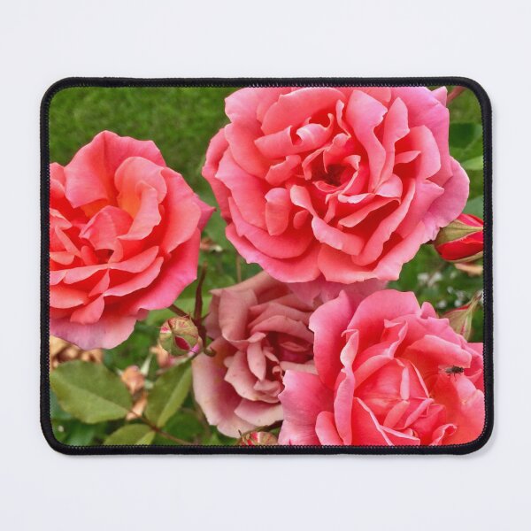Item preview, Pretty In Pink designed and sold by mamamur.