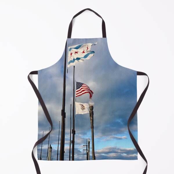 Item preview, Flag Trio On Navy Pier designed and sold by mamamur.