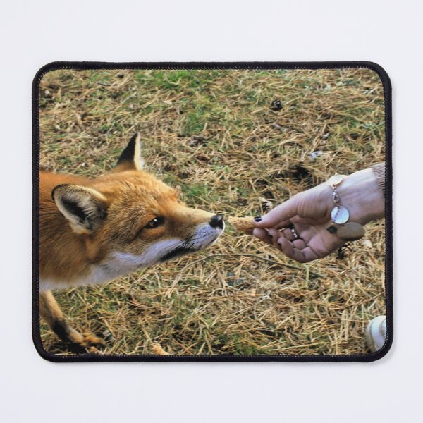 Item preview, Feeding Mr fox designed and sold by Asrais.