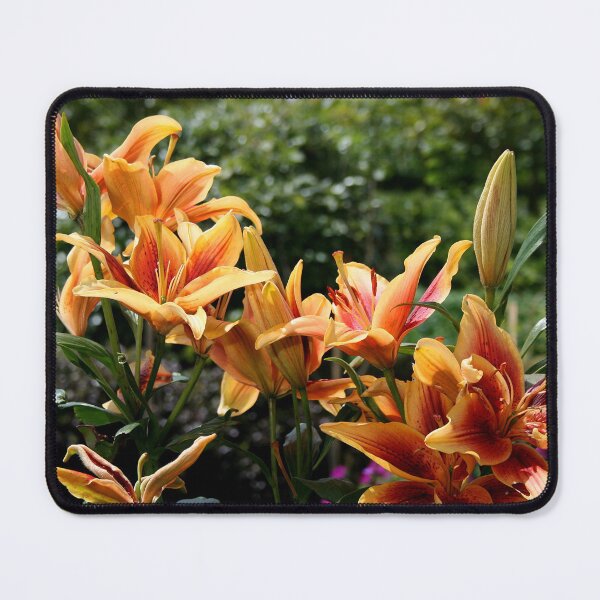 Item preview, Flowers designed and sold by Asrais.