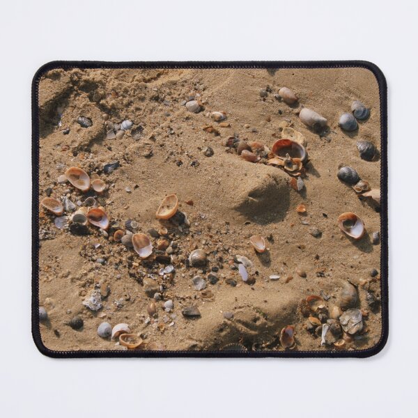 Item preview, Shells designed and sold by Asrais.