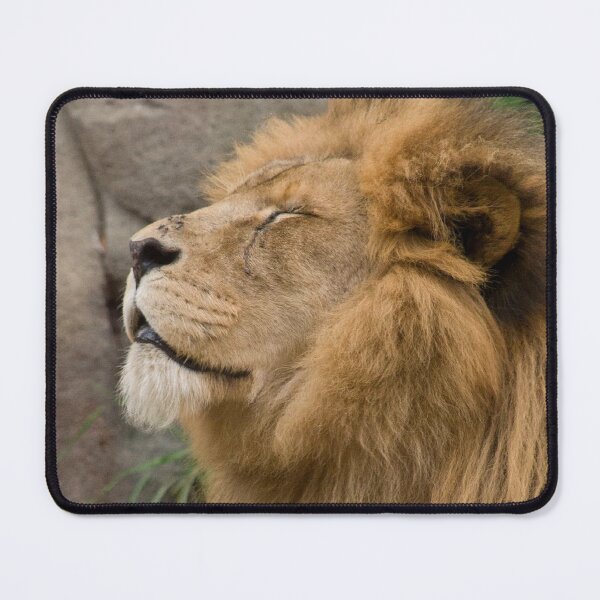 Item preview, Sun Bathing Lion designed and sold by SpectreSparkC.