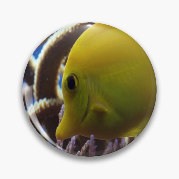 Item preview, Little yellow fish designed and sold by Asrais.