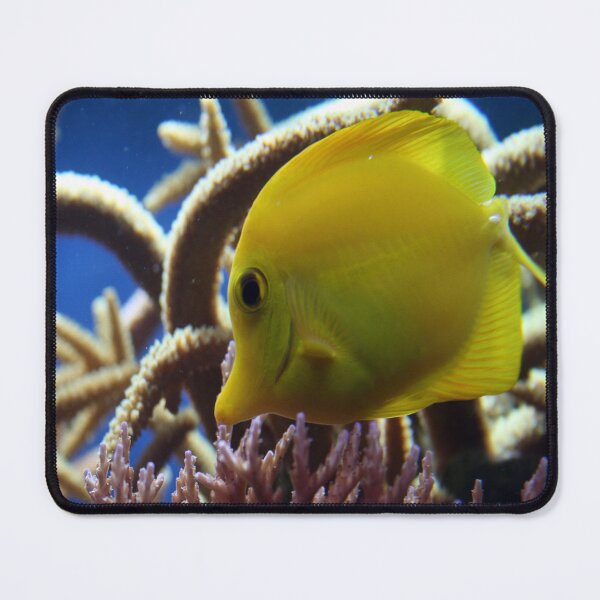 Item preview, Little yellow fish designed and sold by Asrais.