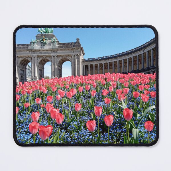 Item preview, Tulips in Parc du Cinquantanaire, Bruxelles designed and sold by CloneDigitalArt.