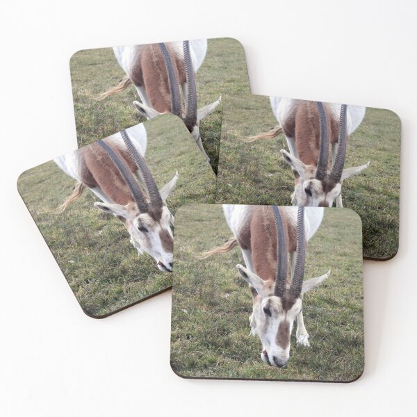 Item preview, Scimitar horned oryx designed and sold by Asrais.
