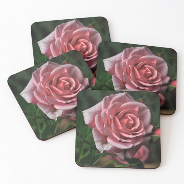 Item preview, Rose designed and sold by GG-Photography-.