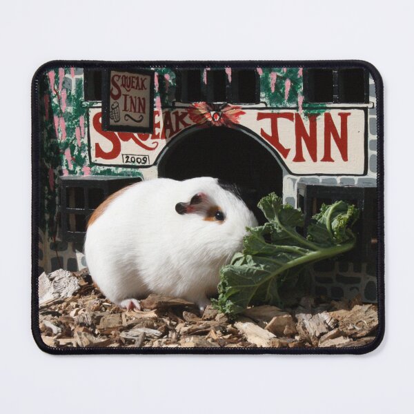 Item preview, Outside squeak inn designed and sold by Asrais.