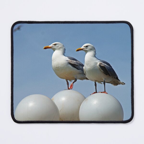Item preview, Seagulls designed and sold by Asrais.