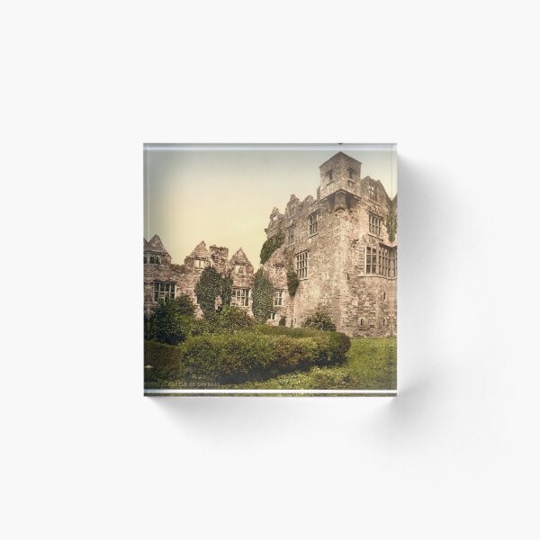 Vintage Photo-Print of Donegal Castle (1900) Acrylic Block