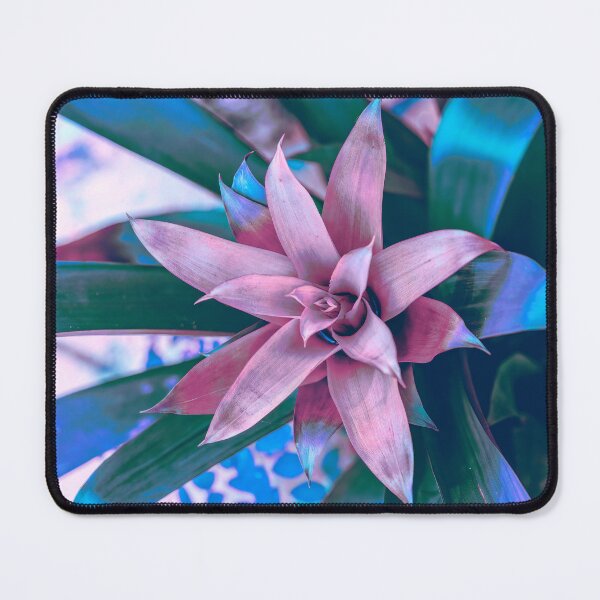 Item preview, Bromeliad Embellished designed and sold by Kay Brewer.