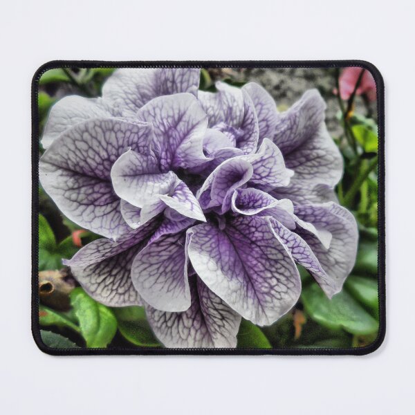 Item preview, Flor Purpura designed and sold by Asrais.