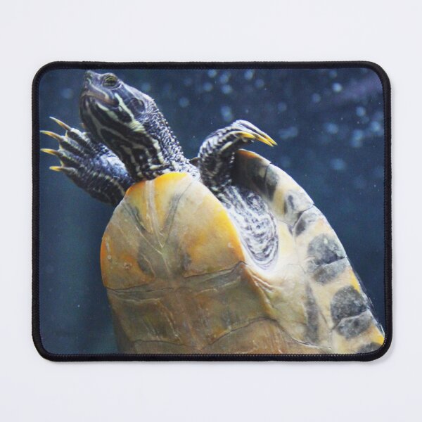 Item preview, Turtle designed and sold by Asrais.