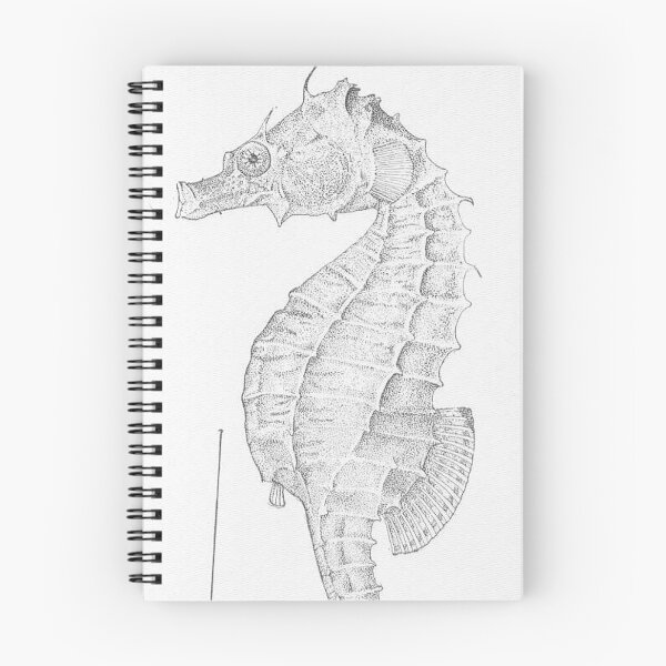 Item preview, Vintage Seahorse Illustration (1907) designed and sold by BravuraMedia.
