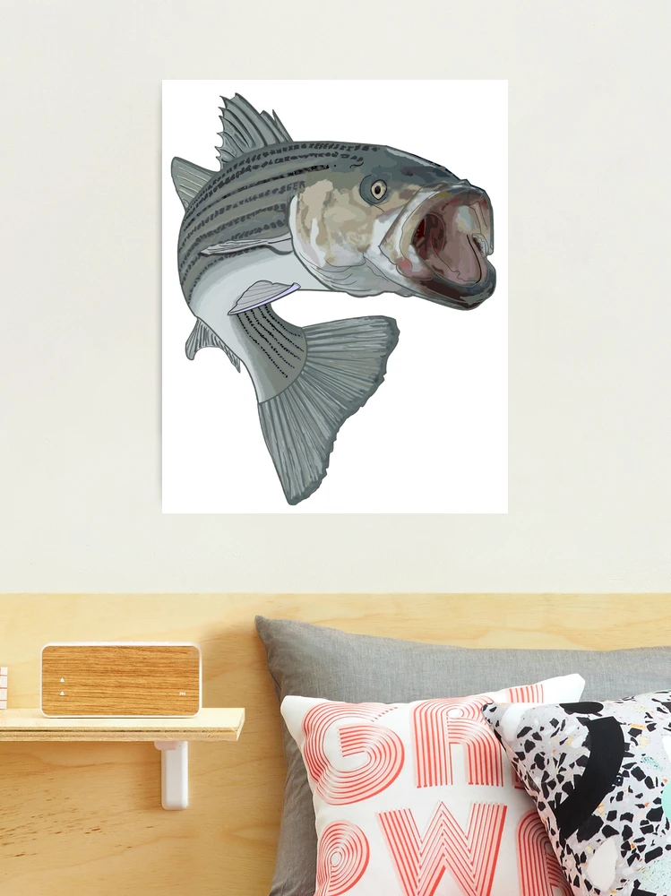striped bass fishing | Photographic Print