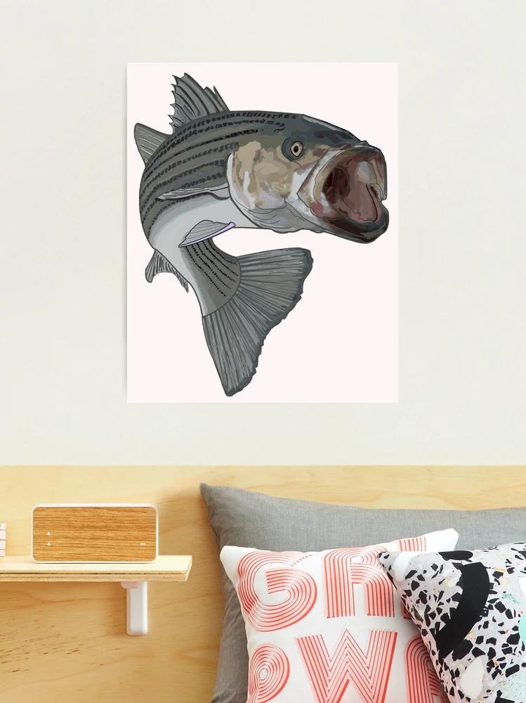 striped bass fishing Photographic Print for Sale by hookink