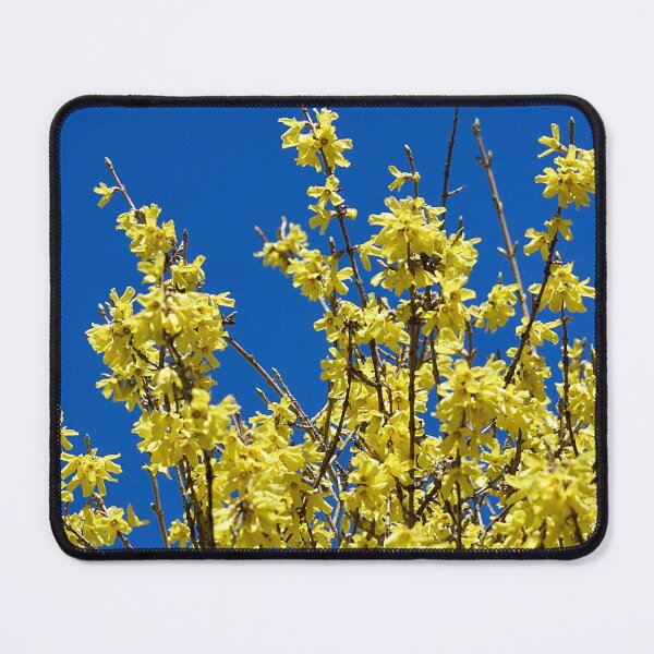 Item preview, Forsythia In Spring designed and sold by mamamur.
