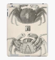 Vintage Crab Anatomy Photograph (1918) iPad Case/Skin